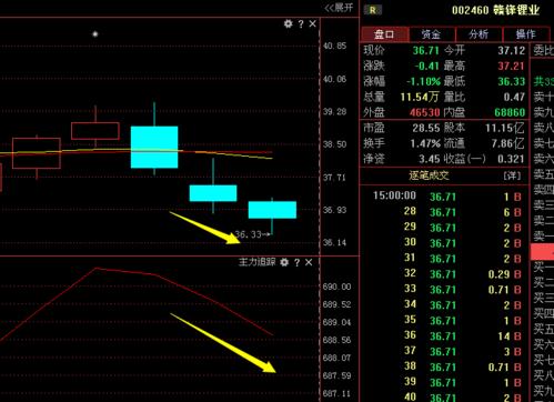 赣锋锂业:获神秘巨资买入,令十万小散都颤抖的大涨,即将到来!