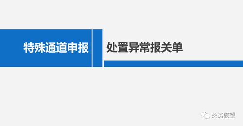 海关特殊通道申报丨处置异常报关单